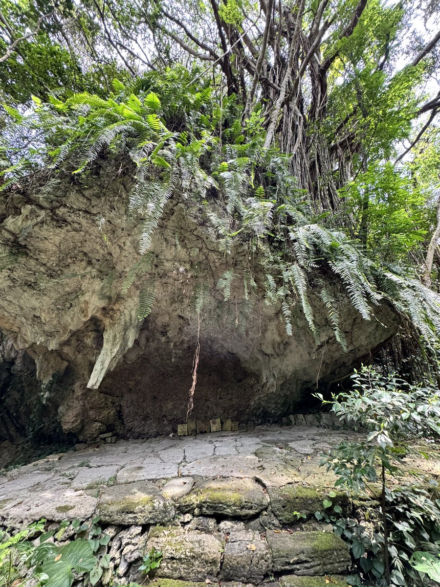 sinouniyabi's tweet photo. 斎場御嶽 世界遺産 祈りの場
僕と縁があった皆さんが
小さな幸せ感じれますように
いい方向にいきますように
自分自身もっと人の為に活躍出来ように
#斎場御嶽   #世界遺産   #沖縄 https://t.co/Hw4ynQABxb