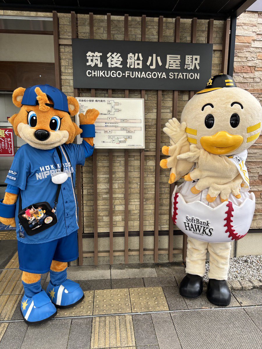 Cubby_Kamasta's tweet photo. きのうのしあいまえに
ちくごしおさんぽ🐻🐣🎶
〜ちくごふなごやえきへん〜

えきちょ〜さんにごあいさつ🚃
ひなまると
たくさんあそんできましたのて✨✨ https://t.co/aEmt4qY0m8