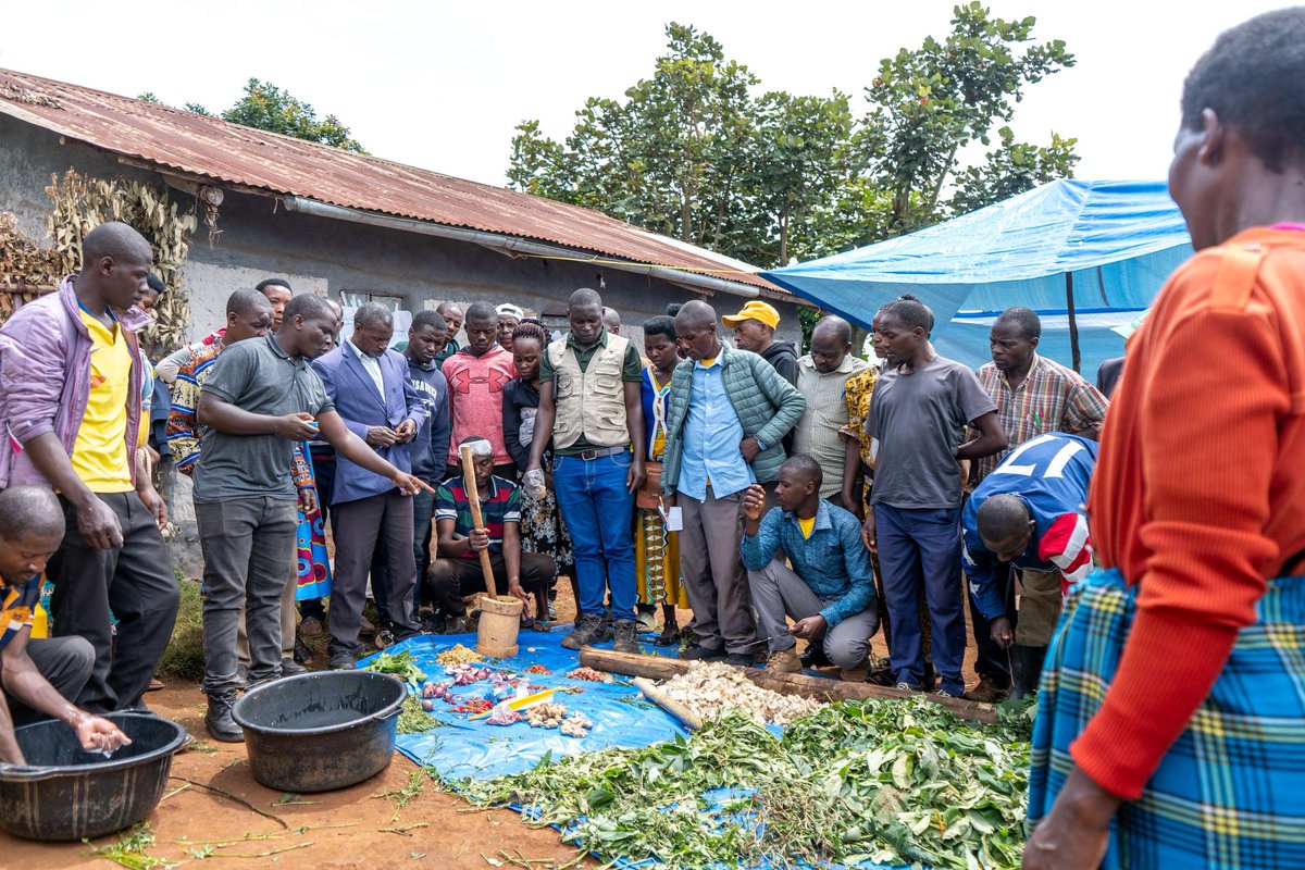 RTVorg's tweet photo. 1/2 Partner community members in Kabale district,  participate in practical demonstrations on how to make and apply organic fertilizers and pesticides using locally available materials, helping reduce input costs while improving soil health and crop productivity over time. https://t.co/UZIZ9J6jIZ