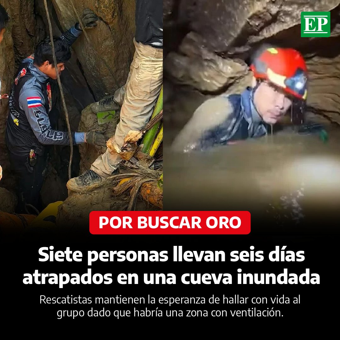 Diario EP tweet media