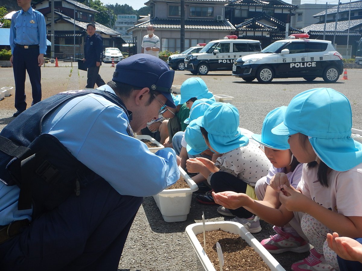 IP_wajima's tweet photo. ／
ひまわり、朝顔の種植えをしました
＼
穴水町内３つの保育園の園児が輪島警察署穴水庁舎に来てくれました

交通事故防止を願い「ひまわりの絆プロジェクト」と「けんちゃんの朝顔」による、ひまわりと朝顔の種を植えました

皆さんも車の運転や散歩時など、交通事故に気をつけましょう https://t.co/CTCcCklSvP