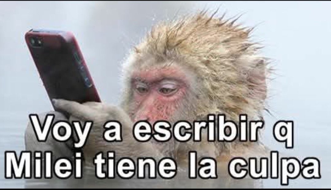 E tweet media