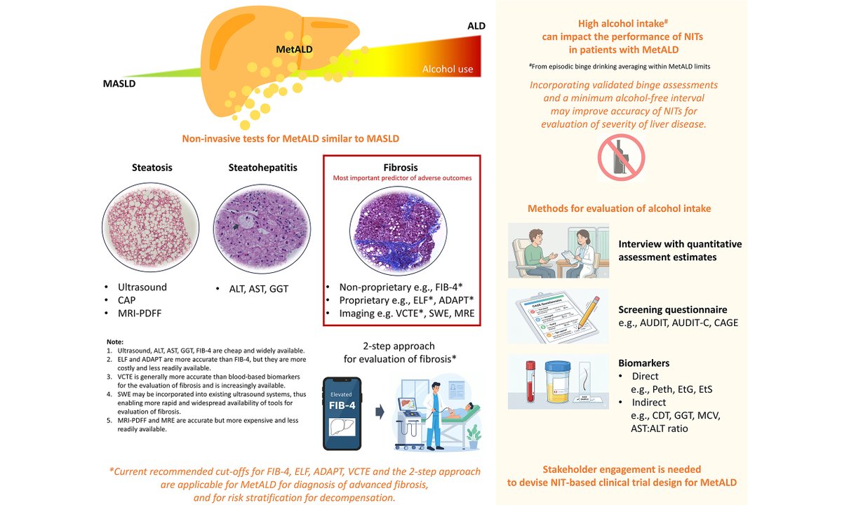 MetabolismAnd's tweet photo. Non-invasive testing is reshaping MetALD care.
From fibrosis assessment to risk stratification, this review highlights how NITs can improve diagnosis and clinical management without biopsy.
👉 https://t.co/GUrZpgXT2H
#MetALD #LiverDisease #PrecisionMedicine https://t.co/9E6vYmqaCI