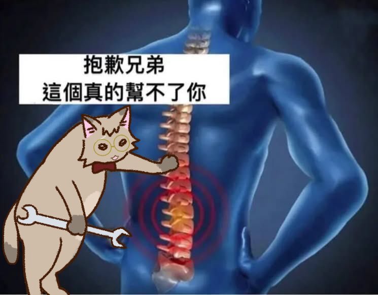 速共 tweet media