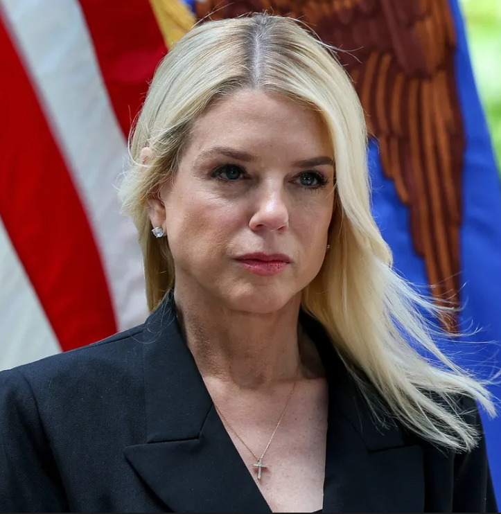 Conservative Brief tweet media