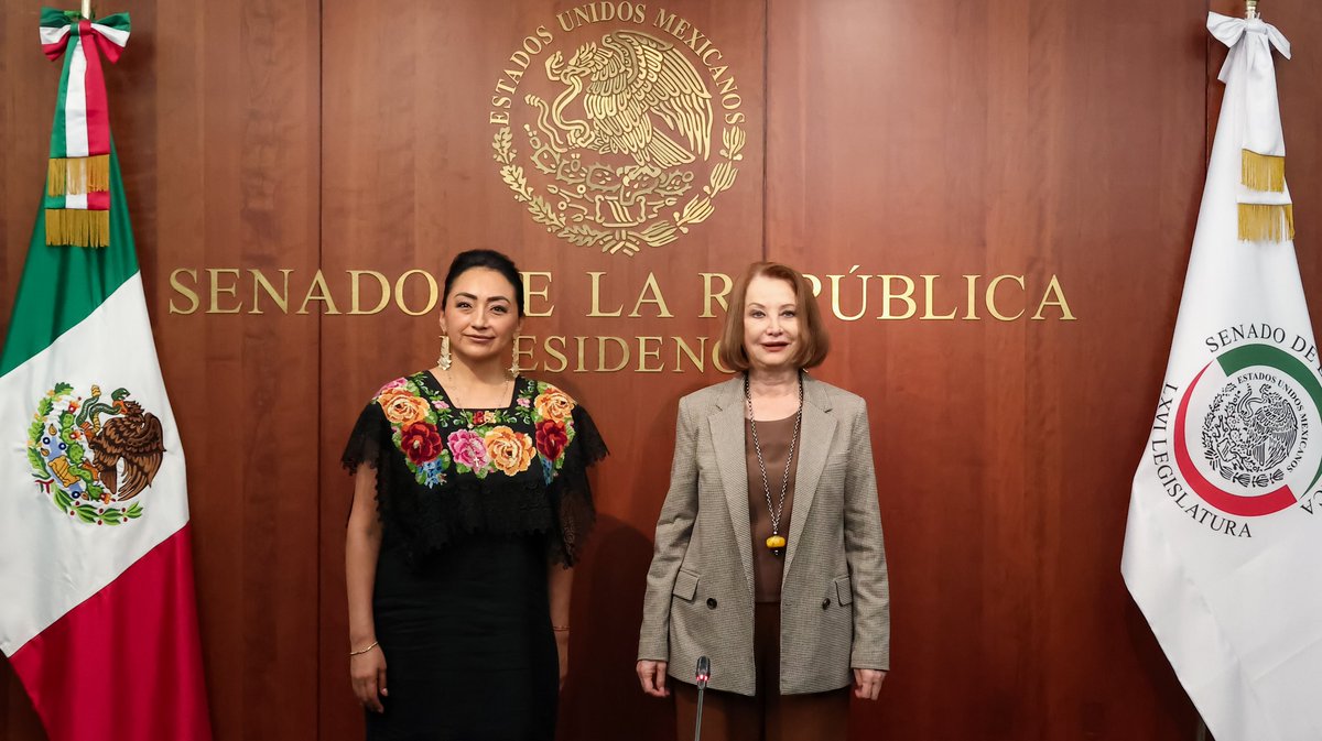Laura Itzel Castillo Juárez tweet media