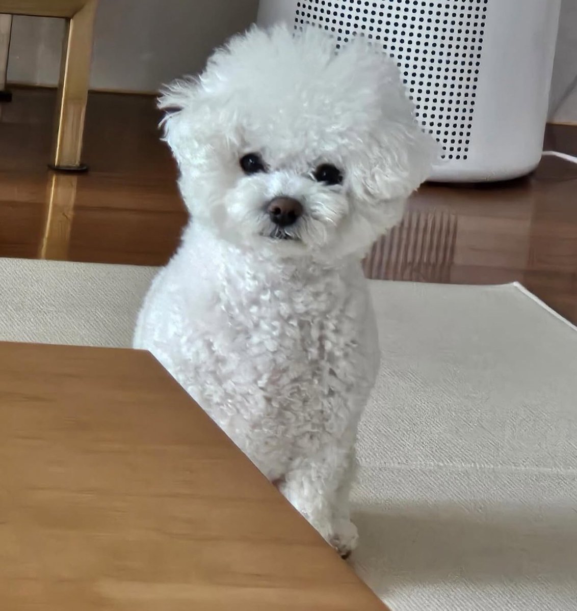 멈다나 tweet media