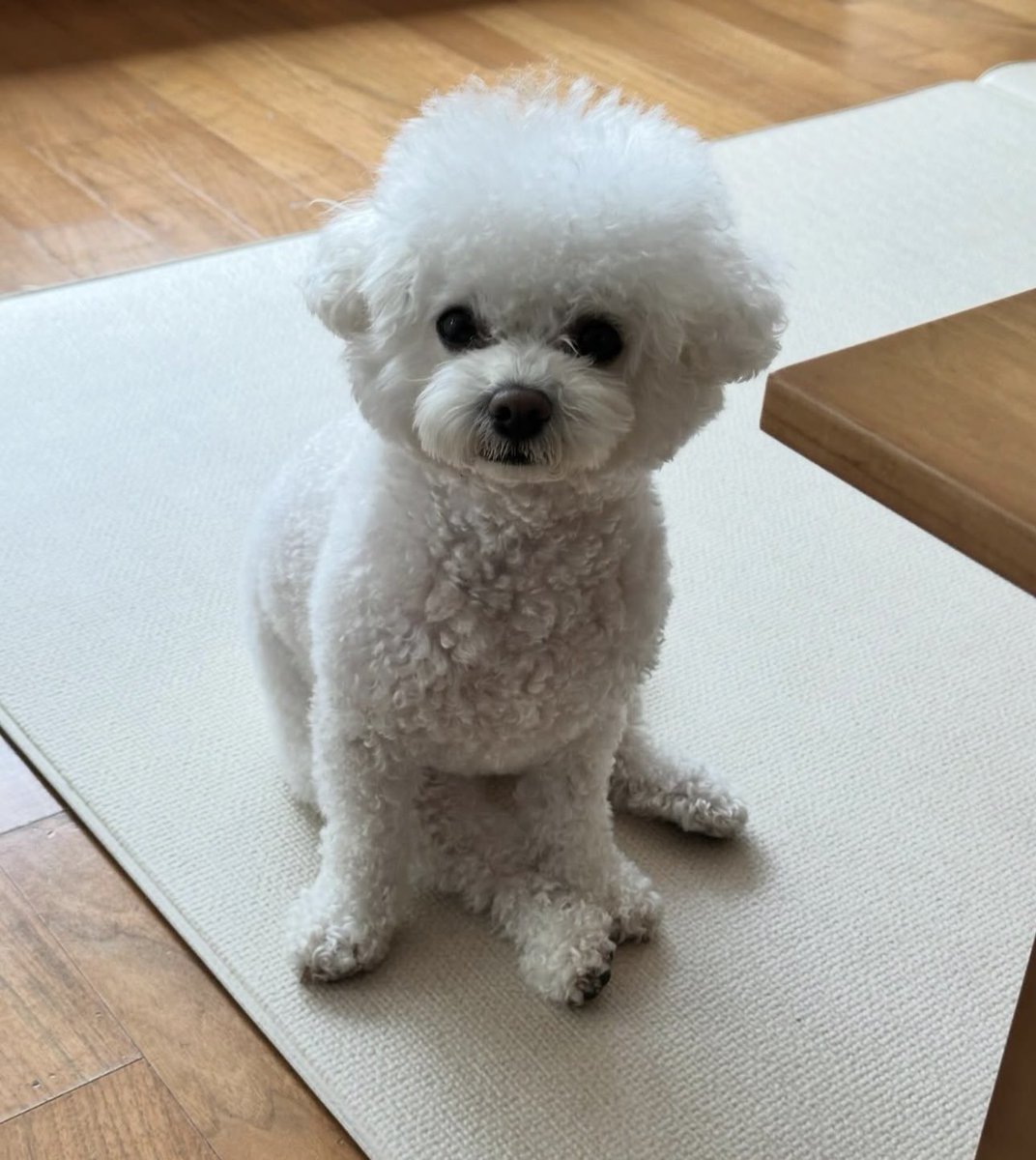 멈다나 tweet media