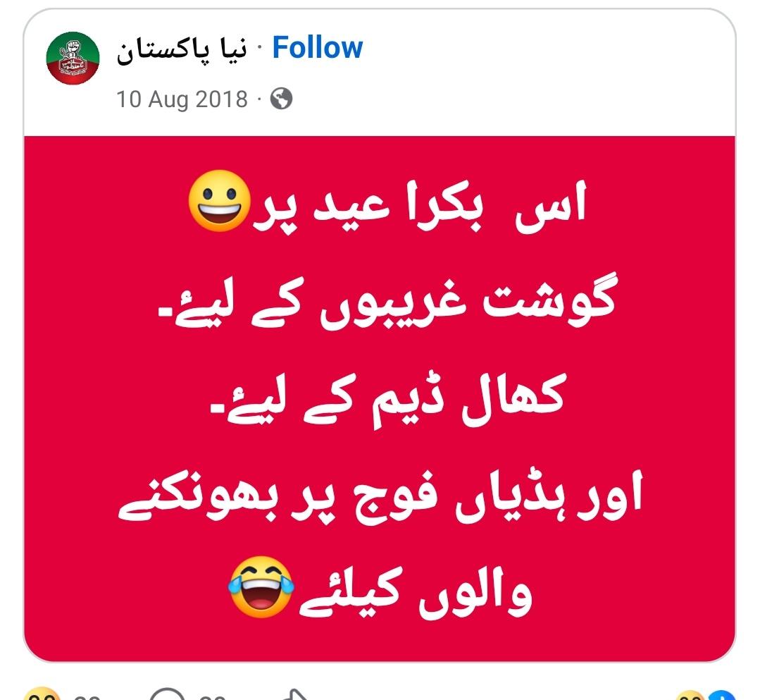 . tweet media