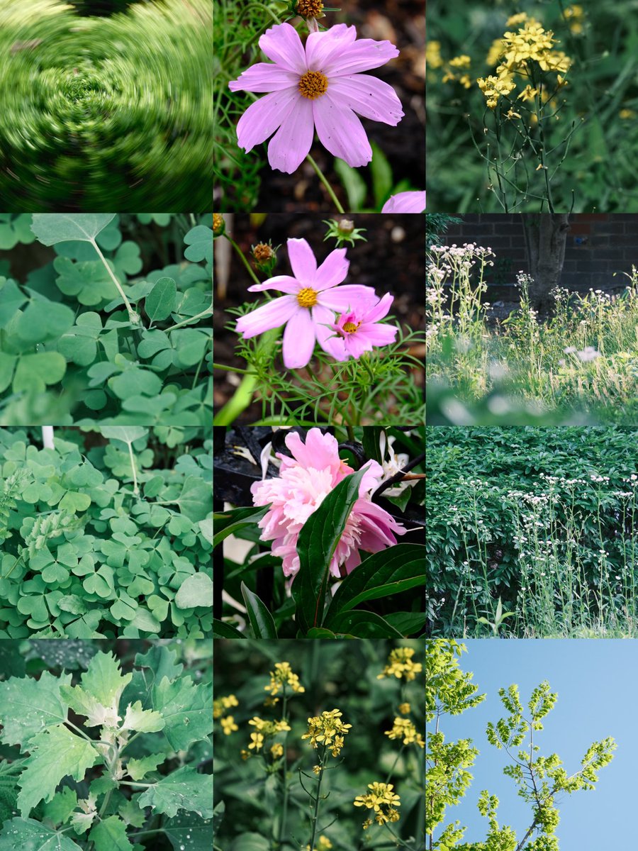 DarrenChen528's tweet photo. Earth, check in.
What does spring look like where you are today?
Show me your corner of the planet — colors, light, blossoms, anything.

Aliens drifting through the feed, you’re invited too 🌸👽

#springaroundtheworld #globalphotography #springvibes
#春の色 #世界の春 #地球の季節 https://t.co/HA4VOqqZto