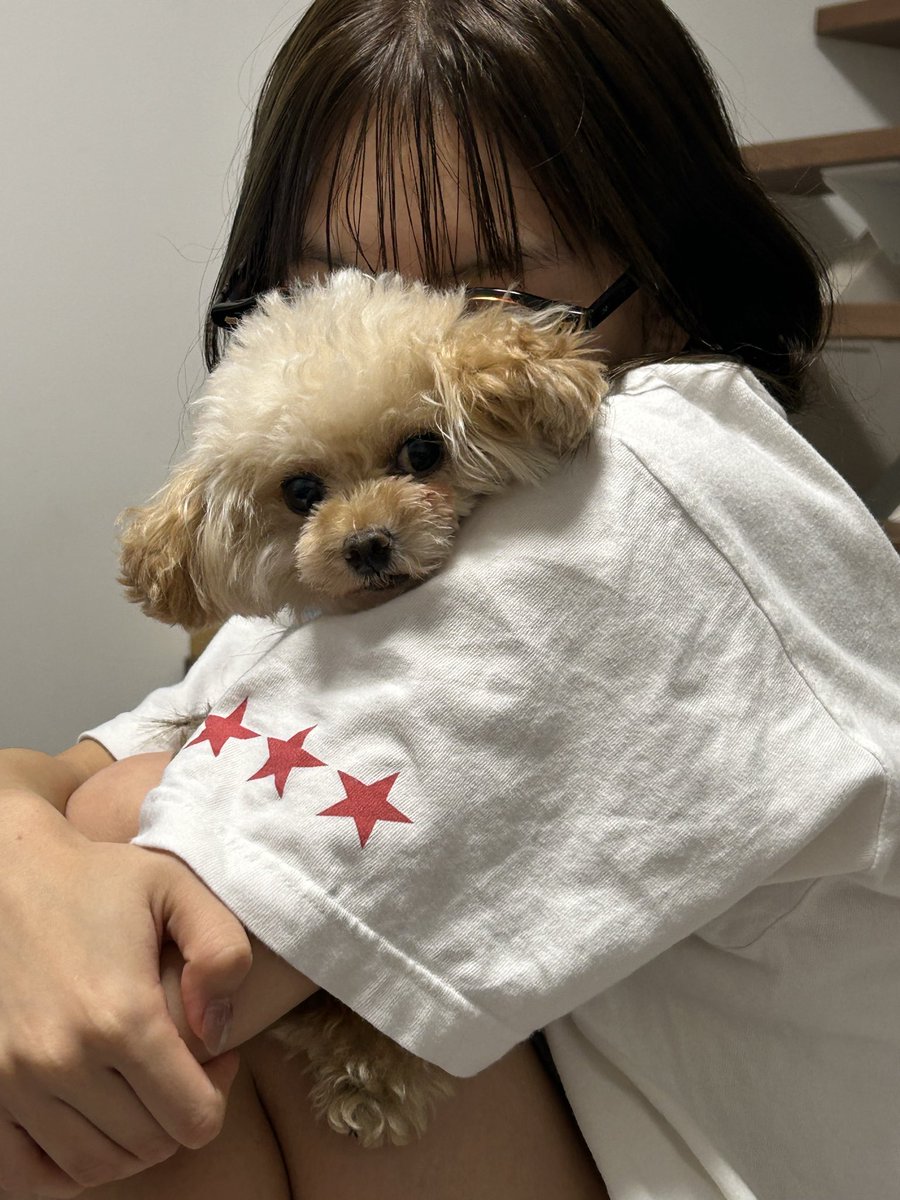 東条 澪 【AND CaaaLL】 tweet media