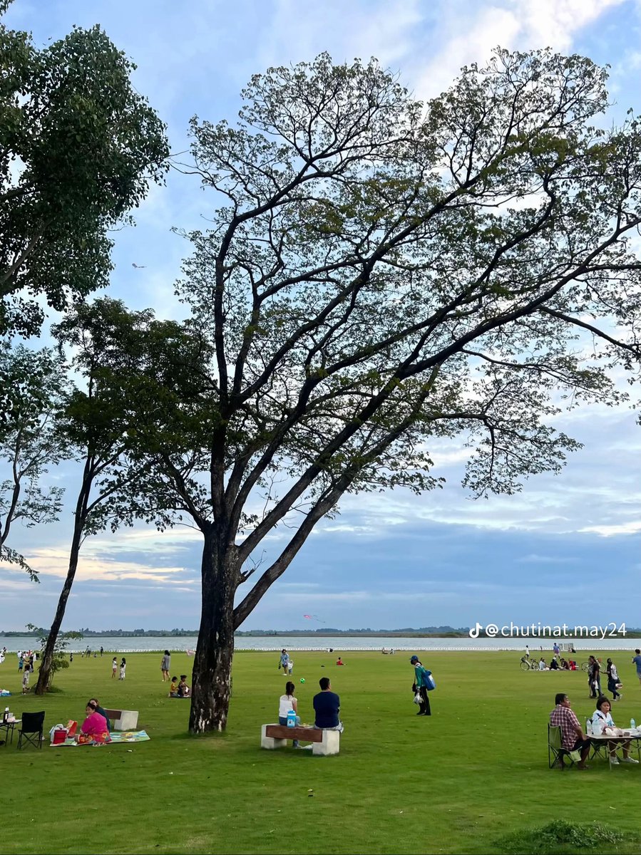 Jupitervetw's tweet photo. บึงสีไฟจังหวัด “พิจิตร”🌳💚🌈
เป็นแลนด์มาร์กของชาวพิจิตรไปแล้ว https://t.co/pDgyvswBDW