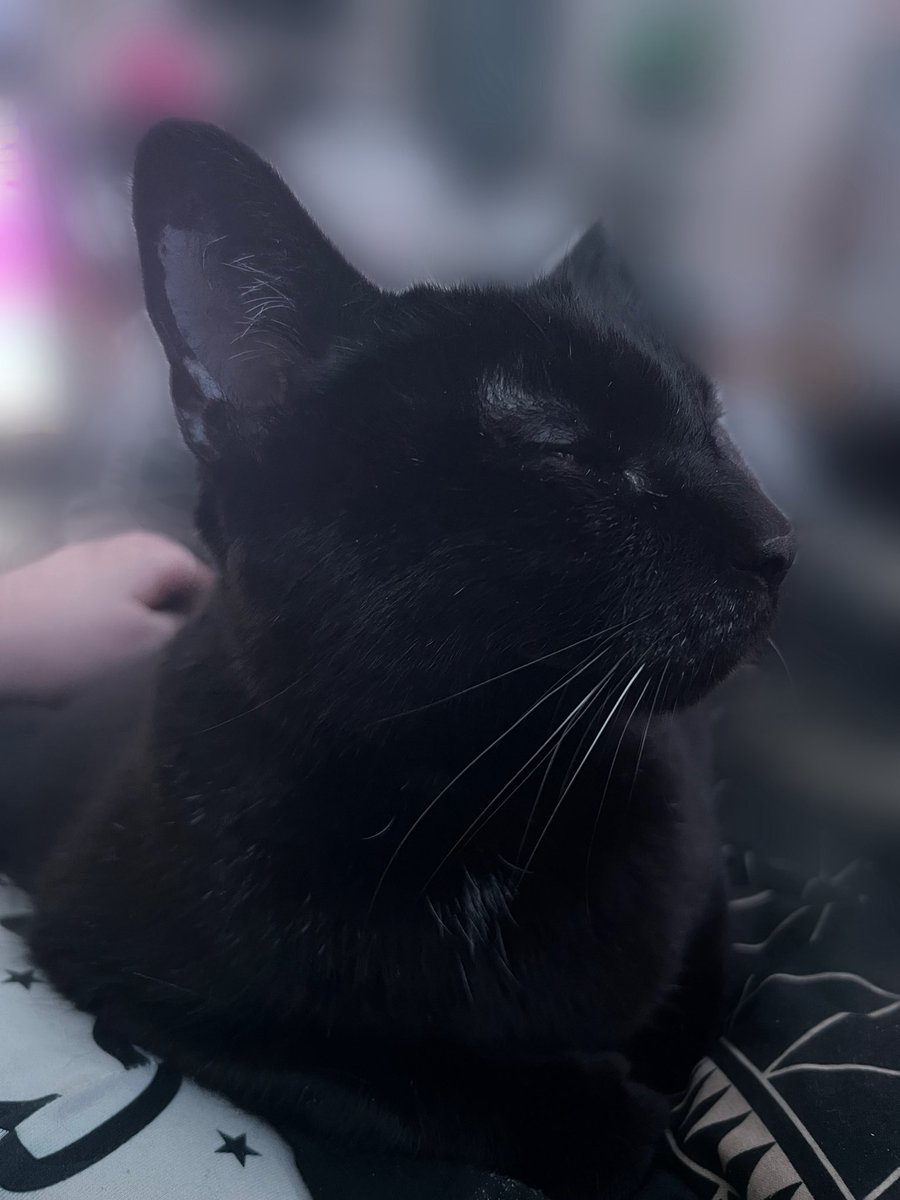 princess ruby ᥫ᭡ (@rubyisroyalty) / Posts / X
