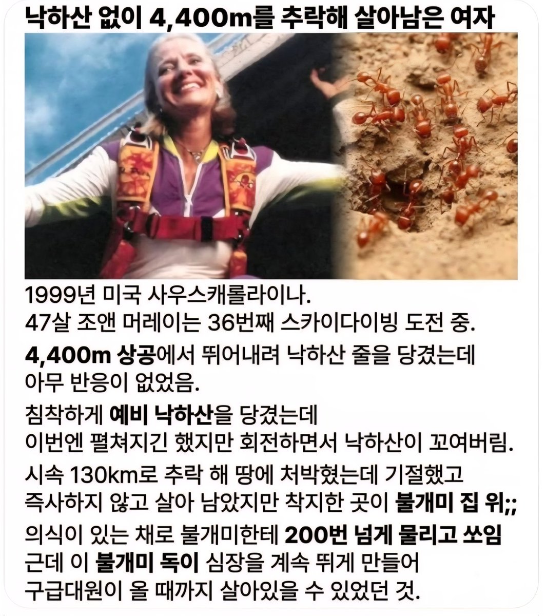 무경 tweet media