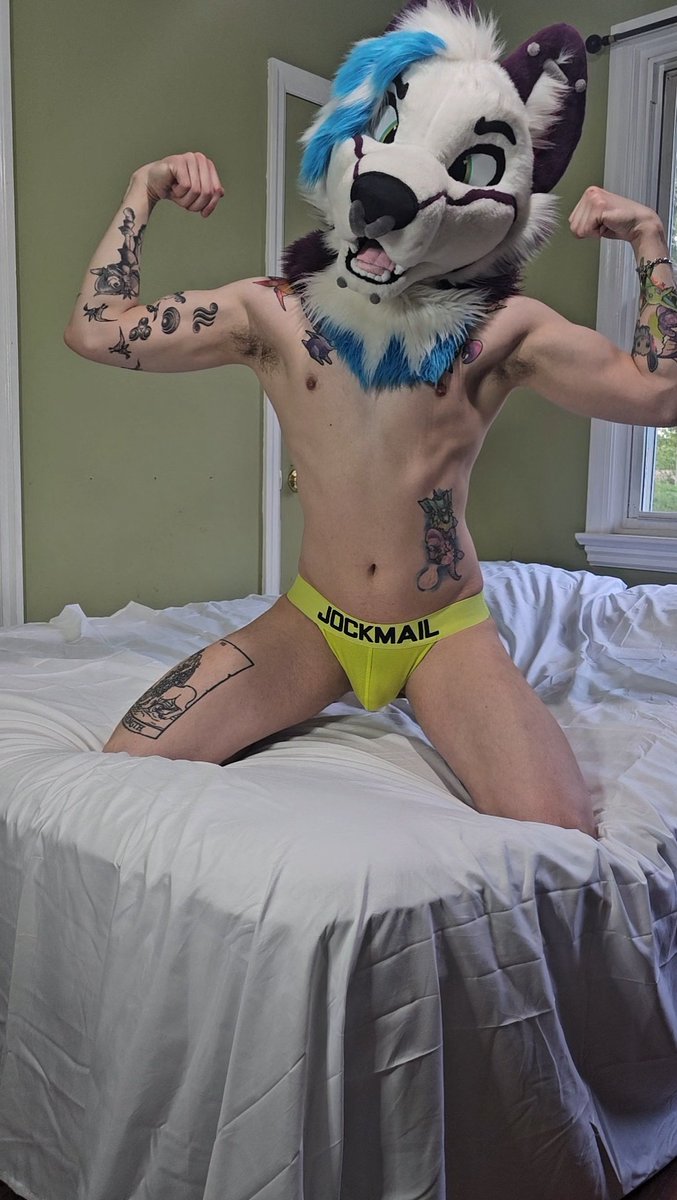 The_FuzzHuzz's tweet photo. Do you like your dog ink flavoured? 🐺✒️ https://t.co/0bntbKPT2M