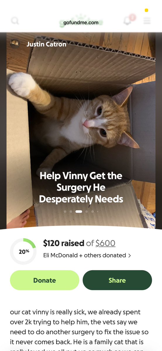 Po0ochie's tweet photo. @Jefframsey24 Me and my kitty Vinny can be your princesses lol https://t.co/I8uMkSJmsf