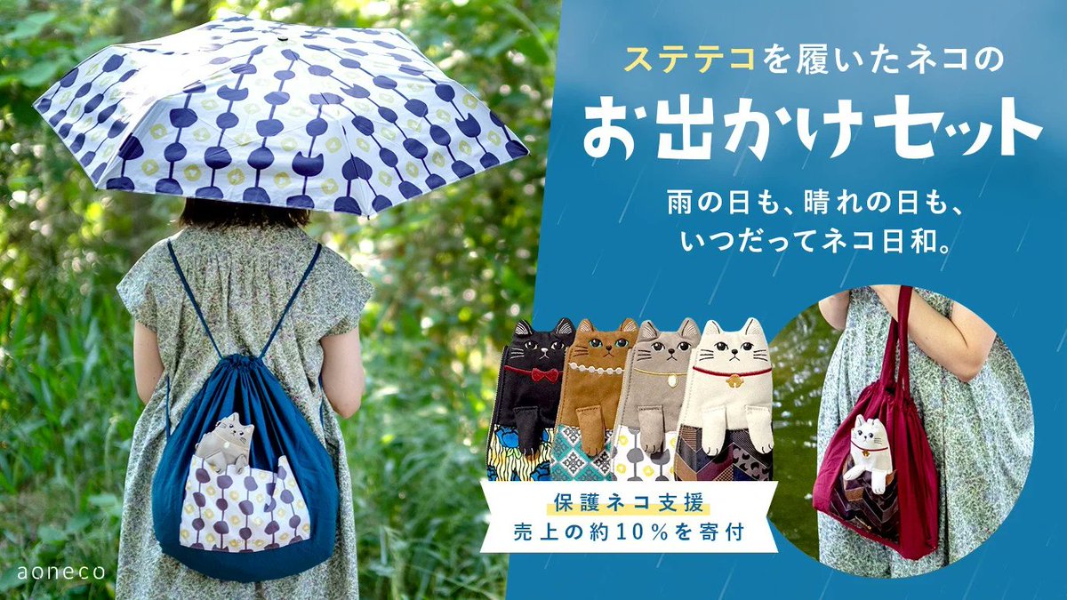 アオネコ / aoneco 保護猫支援 tweet media