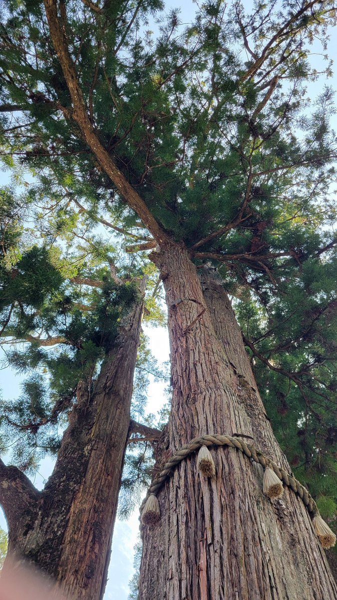 hide3999's tweet photo. 先日行った三峯神社 https://t.co/syS6oQDl1p