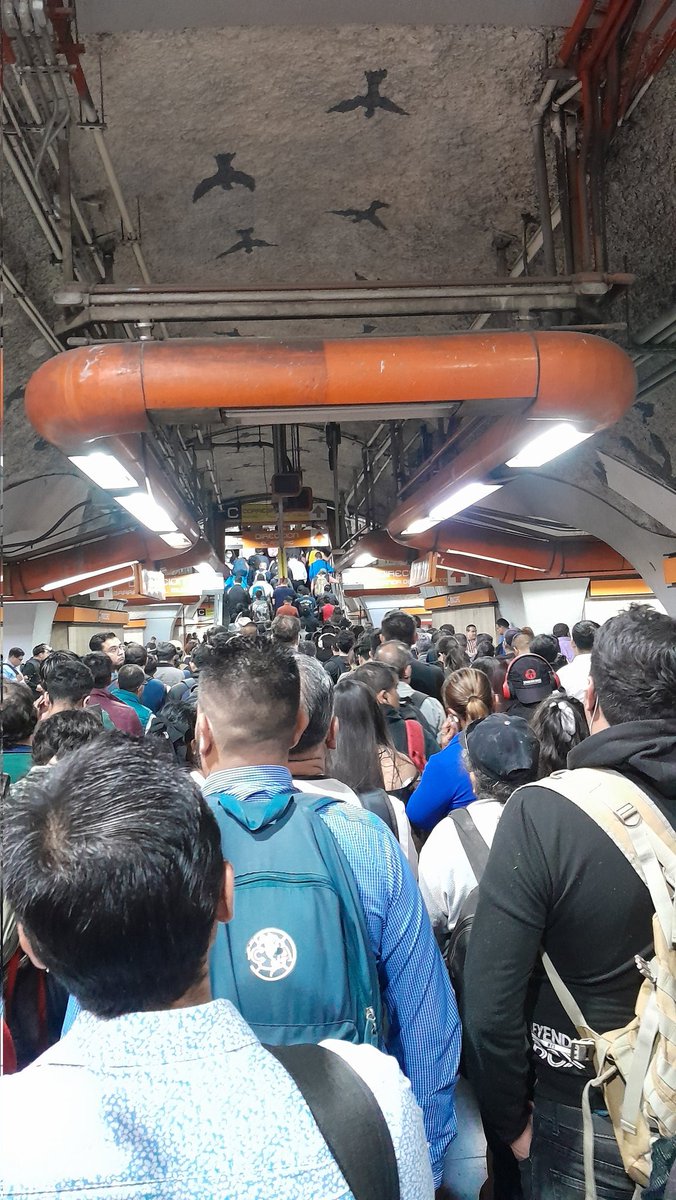 JackieMeVa's tweet photo. @MetroCDMX @AdrianRubalcava en lugar de estar gastandote el dinero del metro en tú publicidad soluciona este problema en el transbordo de Mixcoac a línea 12, todos los días es lo mismo https://t.co/fYvofiw89B