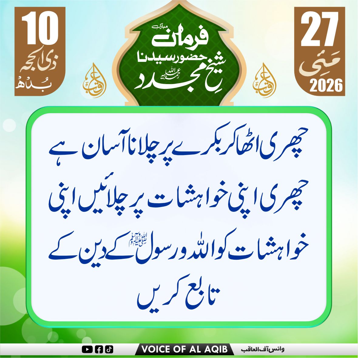 VOICE OF AL-AQIB tweet media