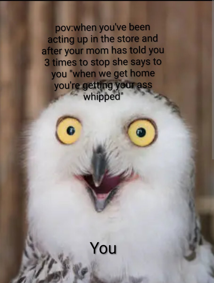 GameWizard7888's tweet photo. My First meme https://t.co/HVxpmVCz8O