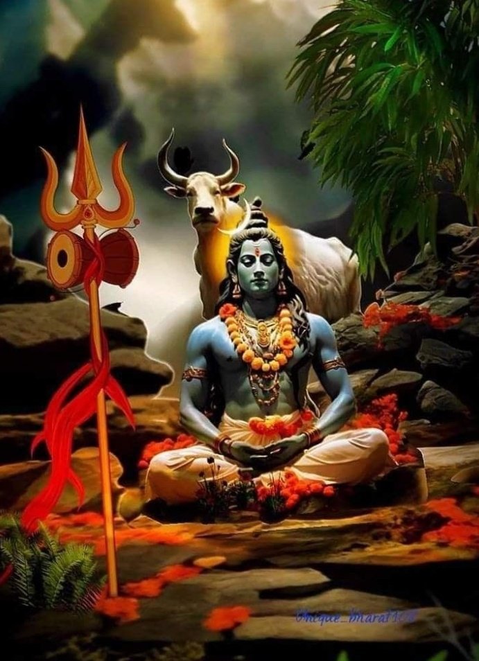 Kavita tweet media
