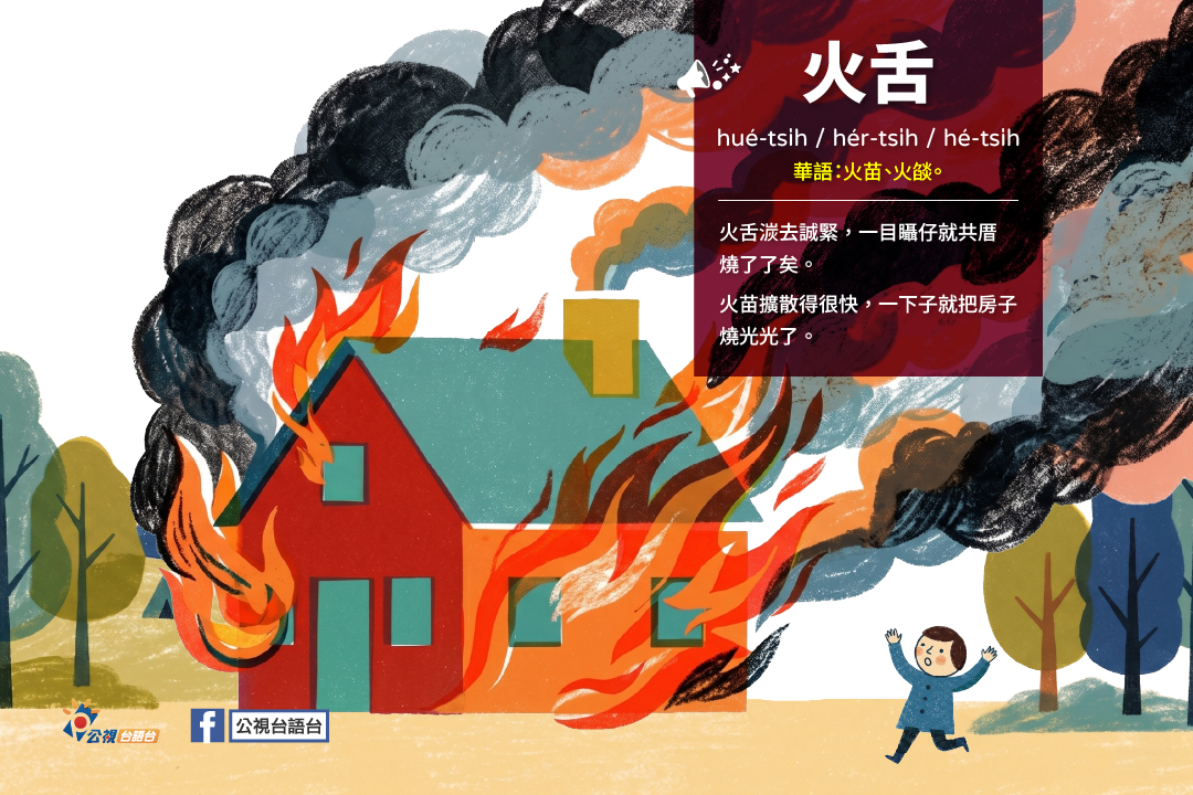 ptstaigi's tweet photo. 單字：火舌
羅馬字：hué-tsi̍h / hér-tsi̍h / hé-tsi̍h
華語：火苗、火燄。
造句：火舌湠去誠緊，一目𥍉仔就共厝燒了了矣。
火苗擴散得很快，一下子就把房子燒光光了。 https://t.co/JUwRSLMfJz