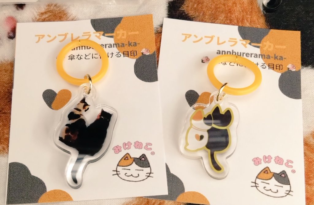 みけねこ。 (@mike_myi) / Posts / X