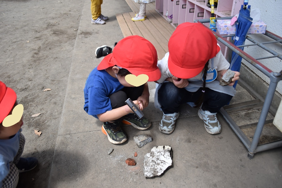 SBKG_PR's tweet photo. 年少組は捜真女学校のカフェテリアにお散歩に出かけました。カラスノエンドウの種取りに夢中！
年長組は石の研究中・・・。
金づちで割って、図鑑と見比べています！ https://t.co/4FNENvPdKx