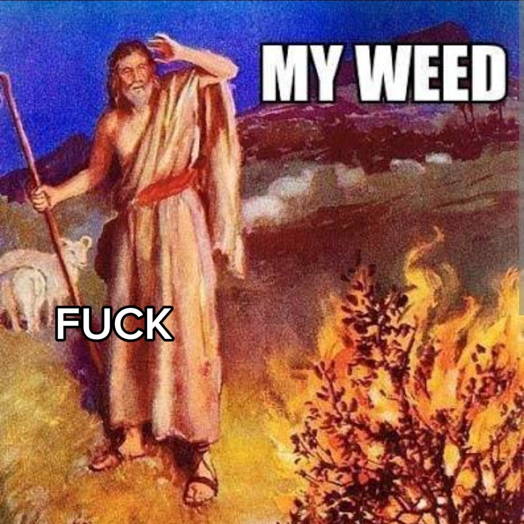 GameWizard7888's tweet photo. Second meme https://t.co/1YbeH17Bev