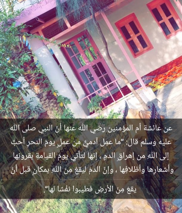 smsm tweet media