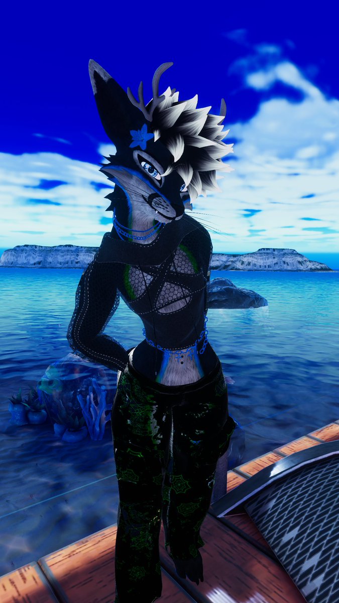 GunninThru42's tweet photo. Feeling cute by the sea 🌊🌊 https://t.co/HlmhZt0iDO