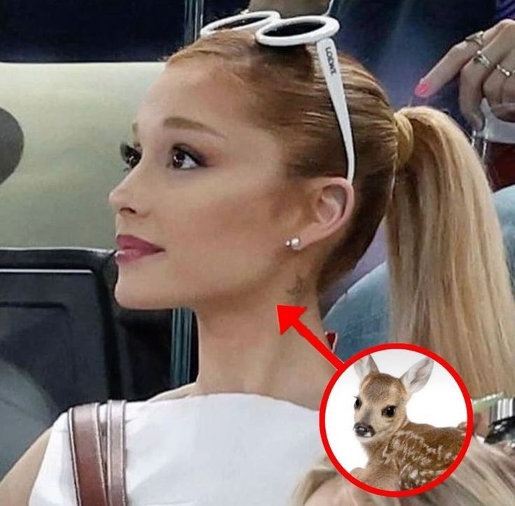 analis ꕤ is seeing ari ! tweet media