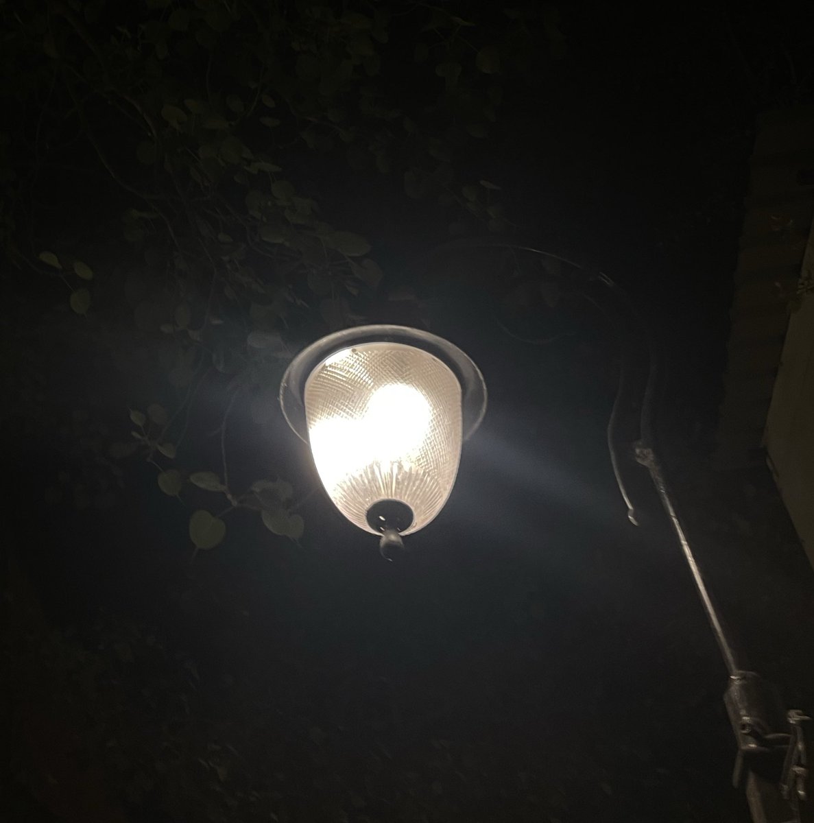 khbrdar's tweet photo. Show us your lamps! https://t.co/K6Sd7lxf4y