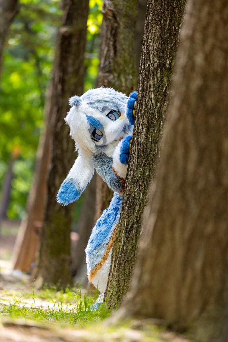 vera_usagi's tweet photo. 놀랐지!

#FursuitEveryday #Fursuit https://t.co/V4Osf5Xw24