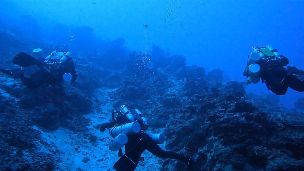 MarkKTozer's tweet photo. Finished up an incredible 7 days diving in Santo with Deep Blue Ventures and Pacific Dive. Great dives, great friends and plenty of laughs along the way.

Trips like this are never just about the diving it’s the people you share it with that make it special. #deepblueventure https://t.co/FCjiuBrL9T