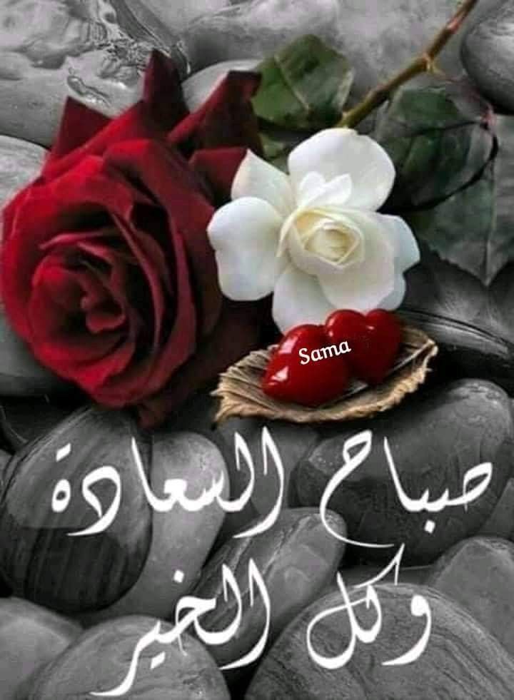 ࡋߺࡅ࡙ߺࡋߺܭ💜🫴 tweet media