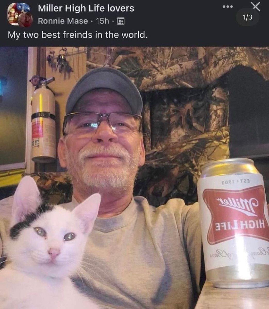 Punch Cat tweet media
