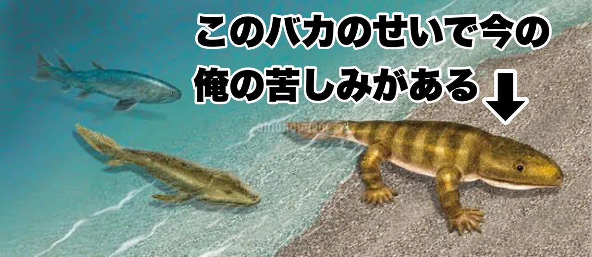 DAMESOURYO's tweet photo. これ https://t.co/ZCj6DQ8FiX