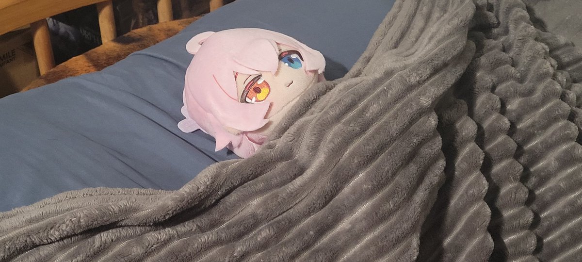 VCOLD6's tweet photo. @GMk4Hoshisuki She ready to sleep. https://t.co/sT7TEqCj7G