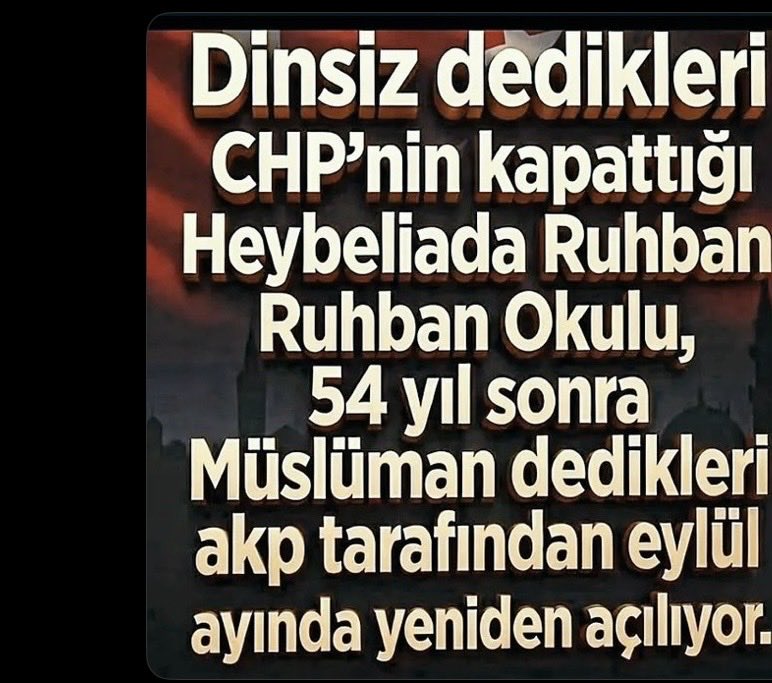 halnur tweet media