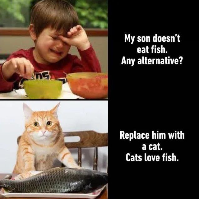 Tweets Of Cats tweet media