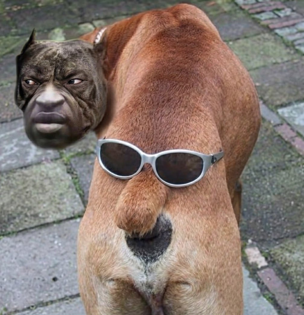 FLOYDOGEPF's tweet photo. floydogeinu? https://t.co/sTa23ox5fz