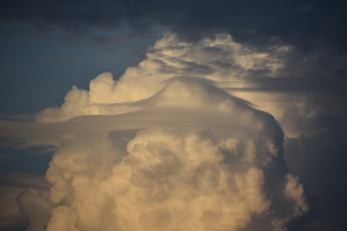 WxFanaticCC's tweet photo. Pileus action today! https://t.co/iwKYEXTrEz