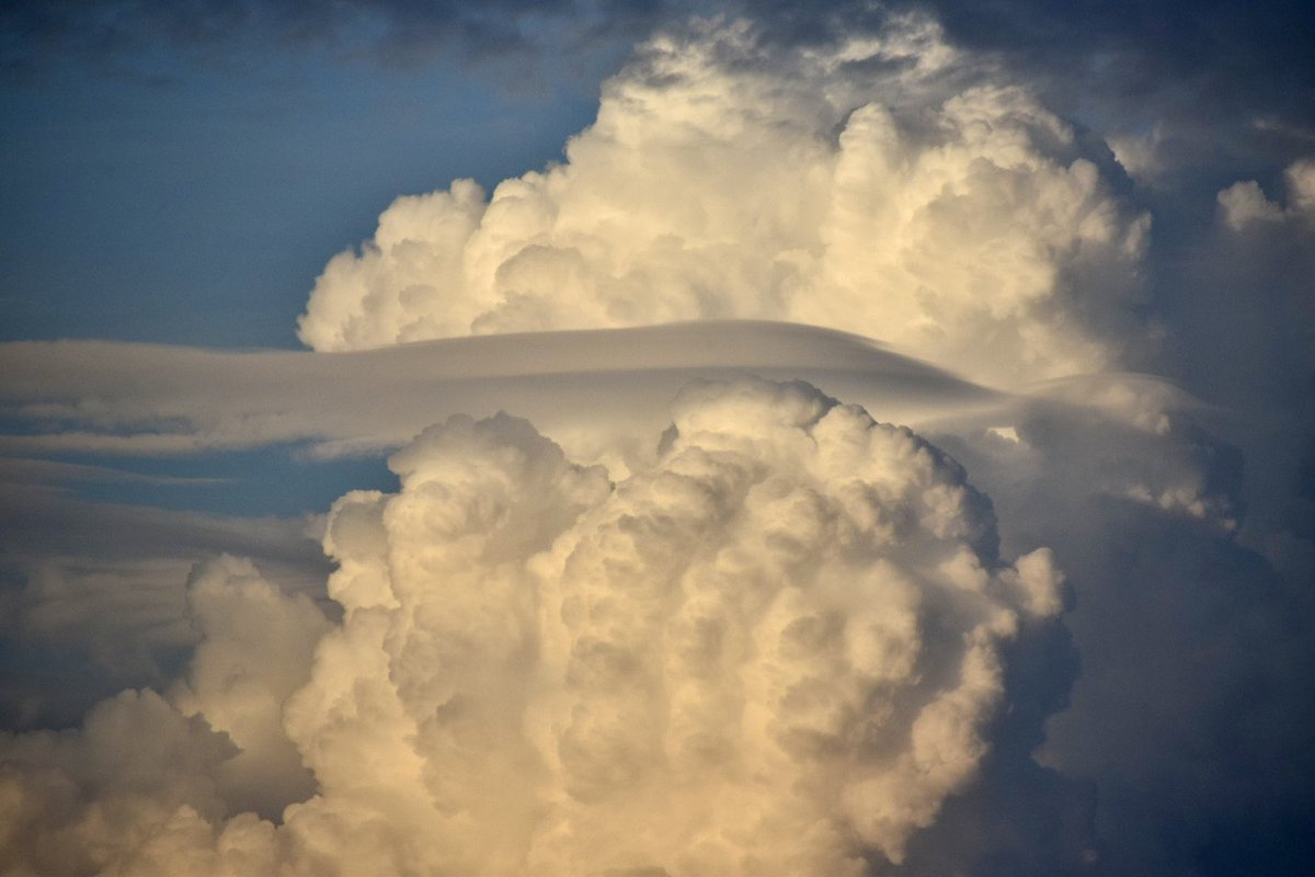 WxFanaticCC's tweet photo. Pileus action today! https://t.co/iwKYEXTrEz