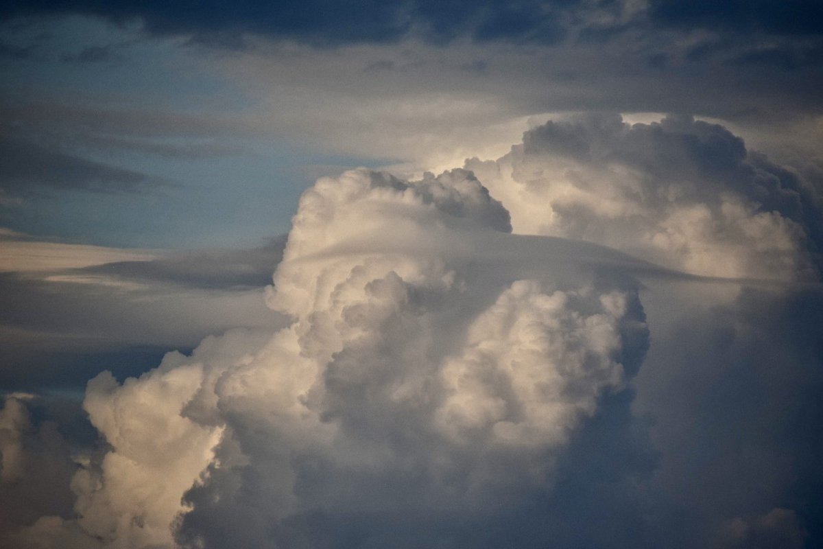 WxFanaticCC's tweet photo. Pileus action today! https://t.co/iwKYEXTrEz