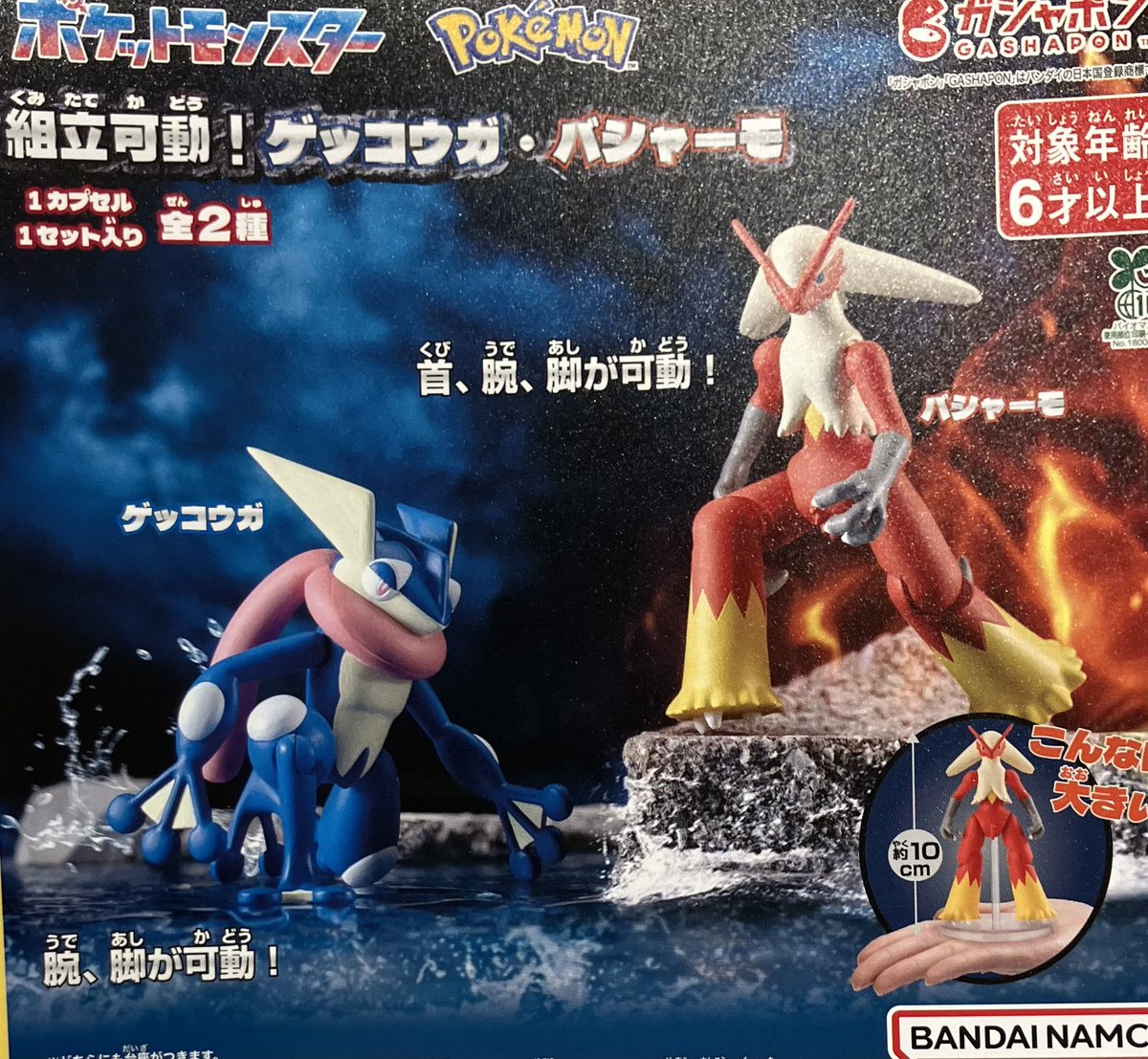 📣 5月27日(水)入荷情報📣 🌟ポケットモンスター 組み立て可動