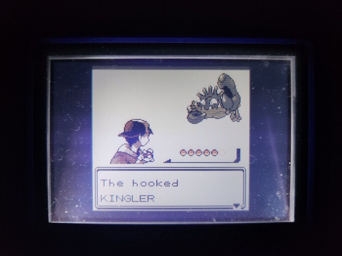 Junofisher58608's tweet photo. Shiny Kingler after 9,480 FE's!! Phase 7 for Staryu! This is my 3rd Kingler in Gen 2. Found 2 of them as phases for Corsola ~3 years ago. 👑🦀 #ShinyPokemon #fullodds https://t.co/RMyVBcOjGo
