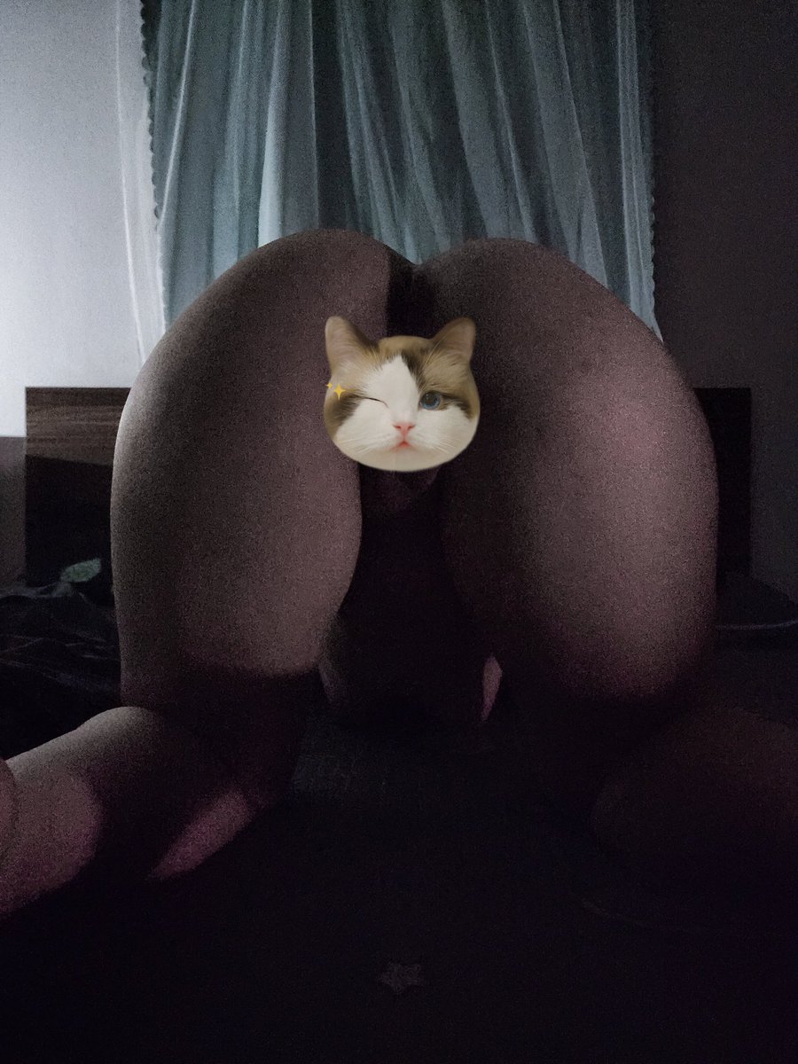 auki21602530's tweet photo. Ảnh cũ nhưng mới đăng 🐰 https://t.co/6lYDmVicF3