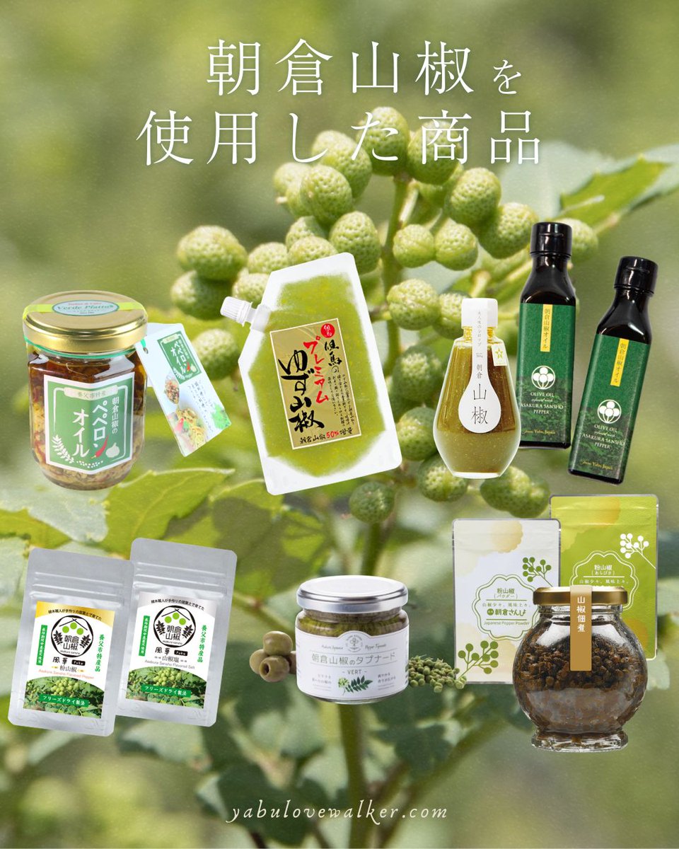 養父市特産「朝倉山椒」を使った商品を、やぶらぶウォーカーで多数